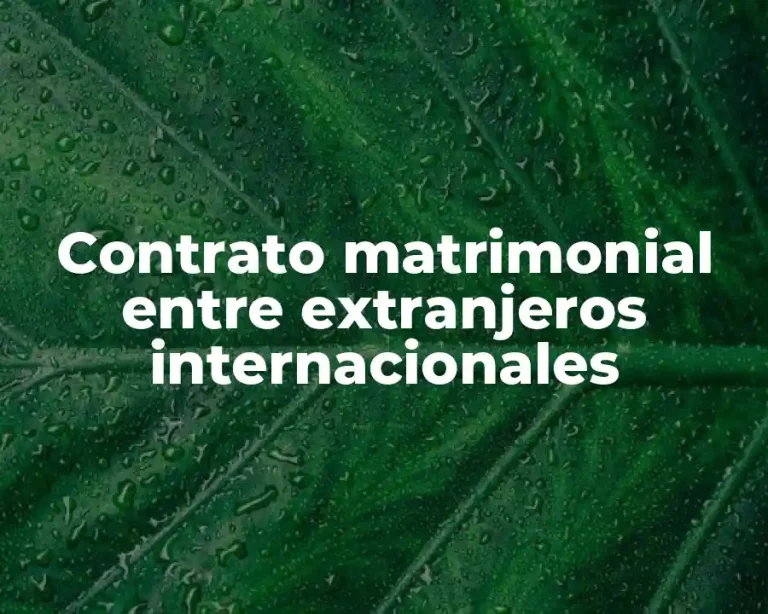 Contrato matrimonial entre extranjeros internacionales