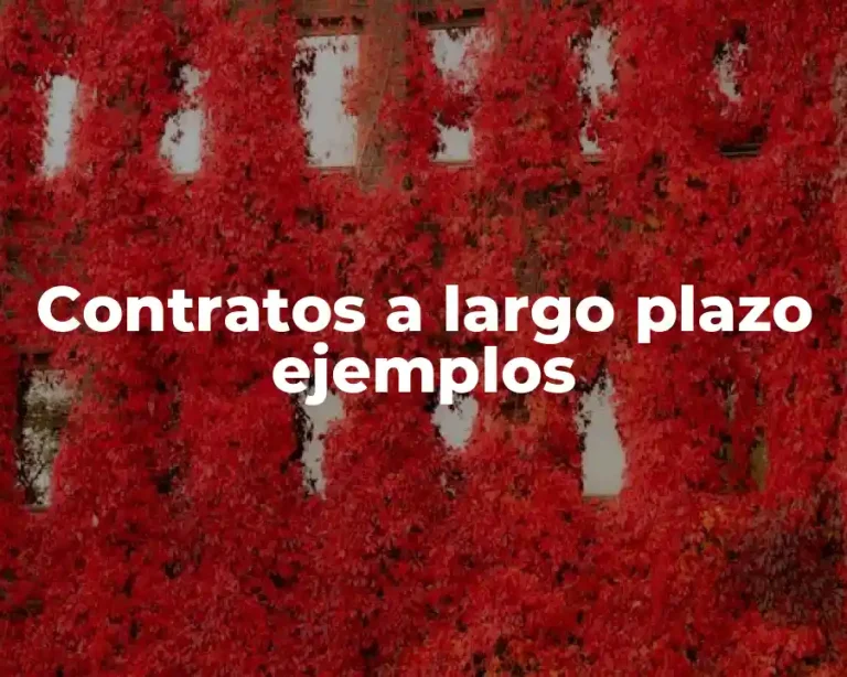 Contratos a largo plazo ejemplos
