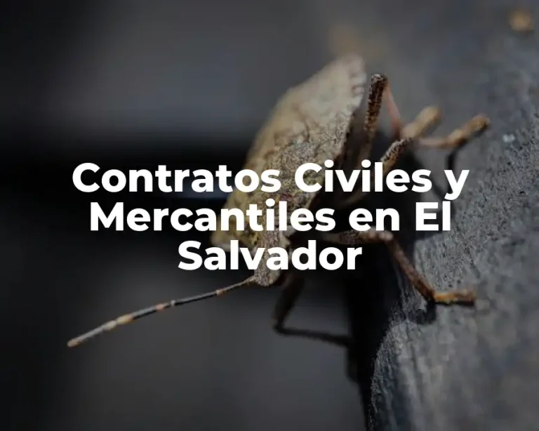 Contratos Civiles y Mercantiles en El Salvador