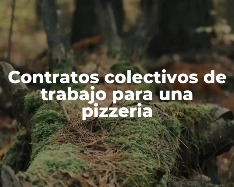 Contratos colectivos de trabajo para una pizzeria