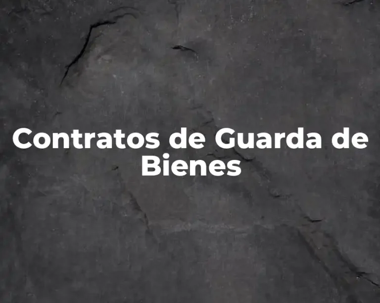 Contratos de Guarda de Bienes