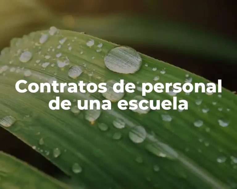 Contratos de personal de una escuela