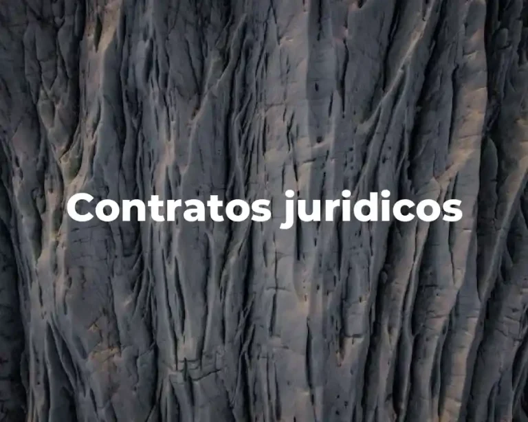 Contratos juridicos
