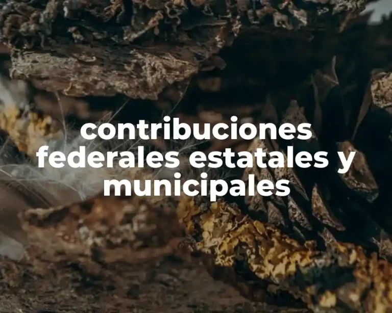 contribuciones federales estatales y municipales