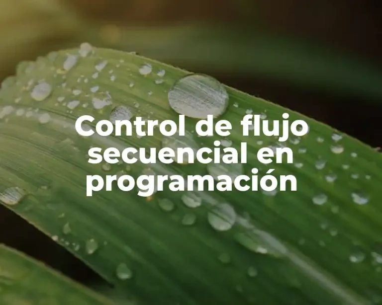 Control de flujo secuencial en programación