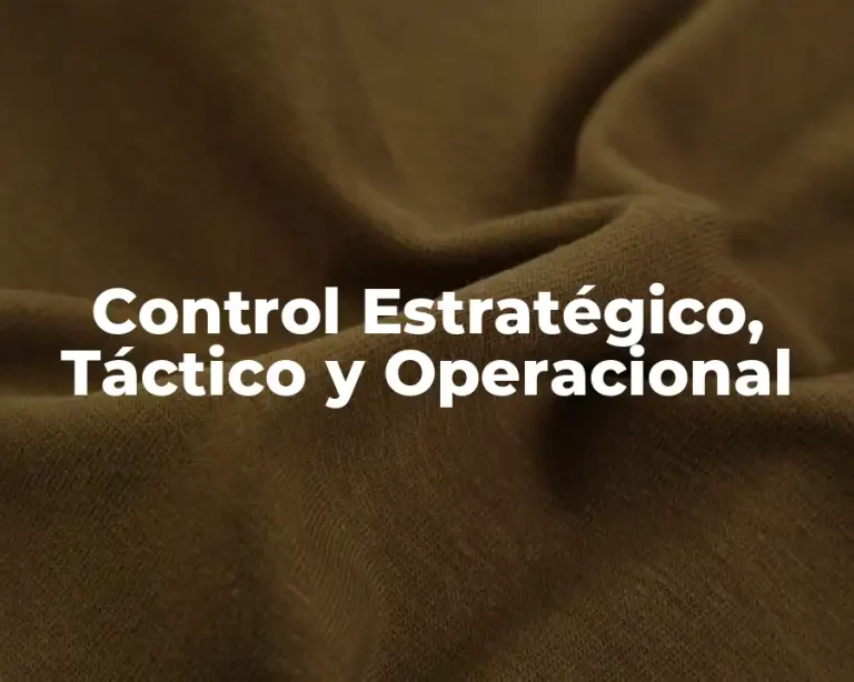 Control Estratégico, Táctico y Operacional