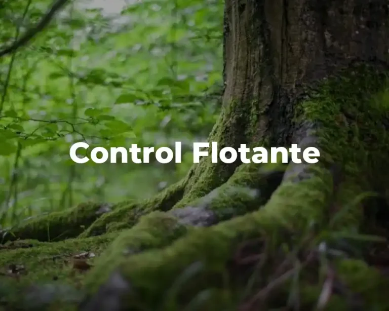 Control Flotante