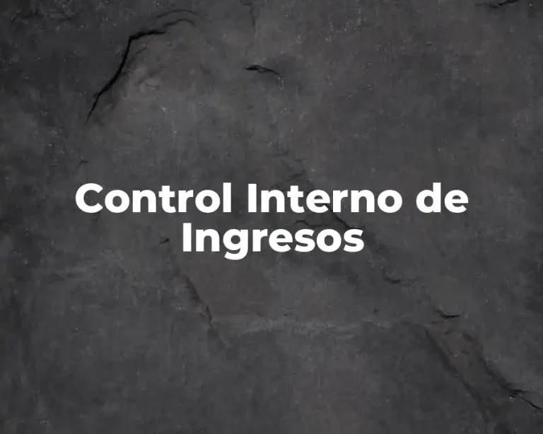 Control Interno de Ingresos