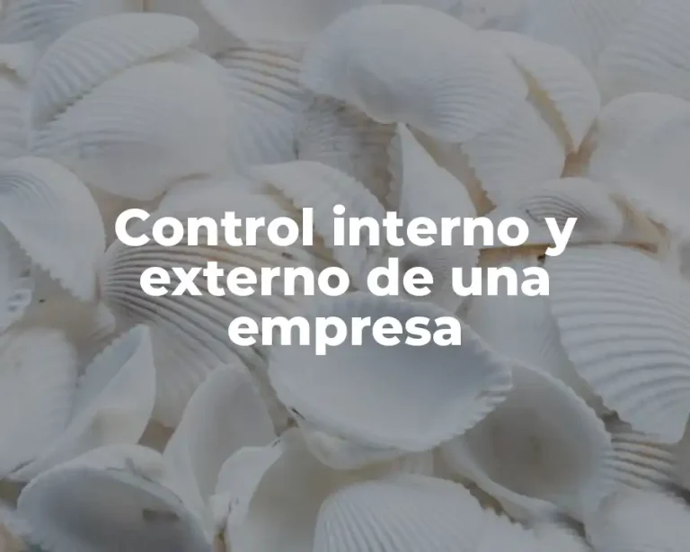 Control interno y externo de una empresa