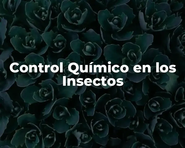 Control Químico en los Insectos