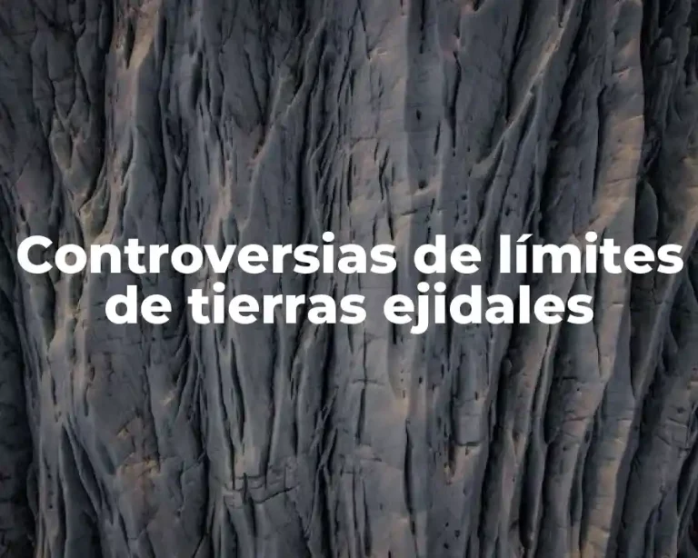 Controversias de límites de tierras ejidales