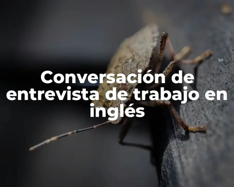 Conversación de entrevista de trabajo en inglés
