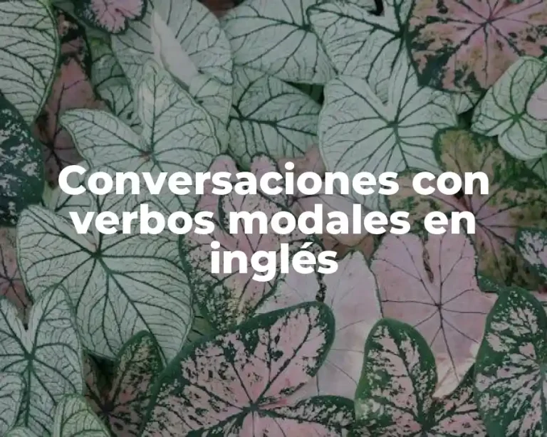 Conversaciones con verbos modales en inglés