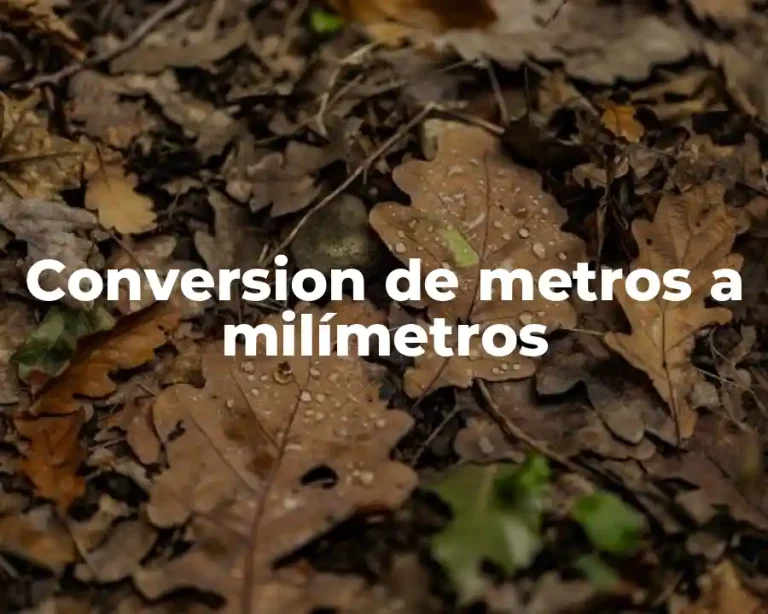 Conversion de metros a milímetros