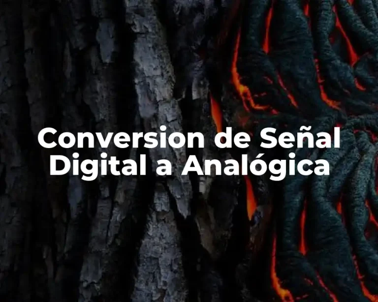 Conversion de Señal Digital a Analógica