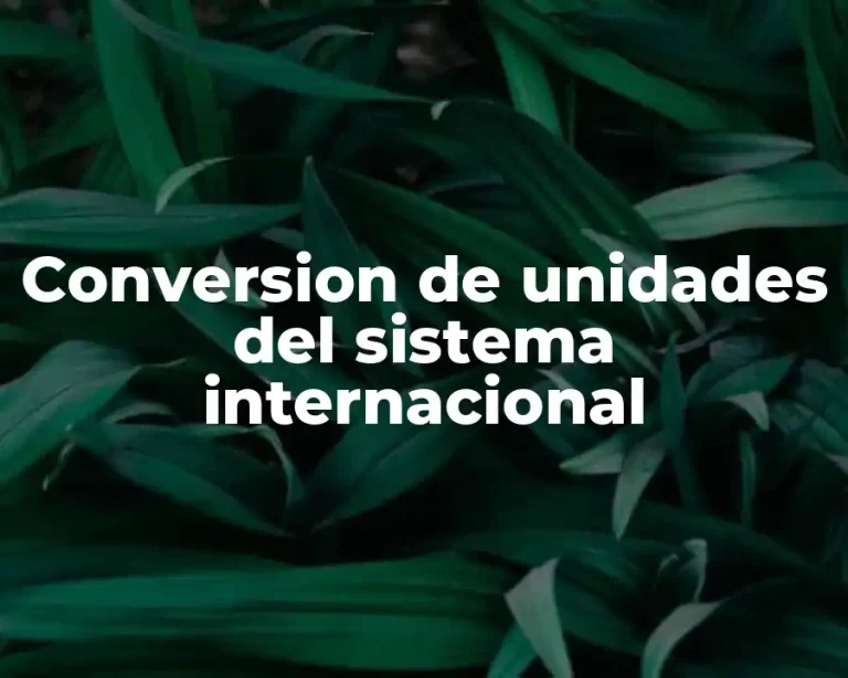 Conversion de unidades del sistema internacional