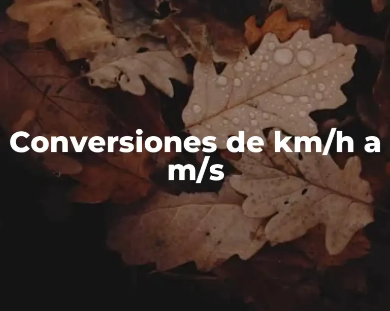 Conversiones de km/h a m/s