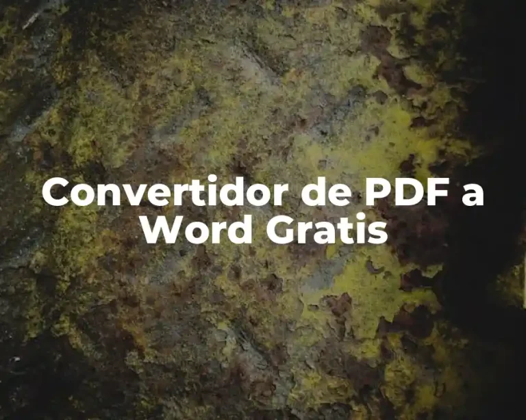 Convertidor de PDF a Word Gratis
