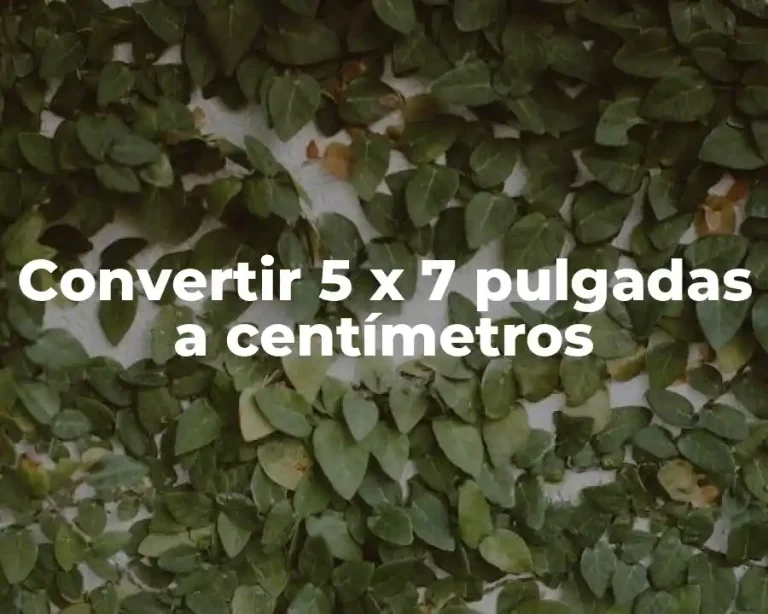 Convertir 5 x 7 pulgadas a centímetros