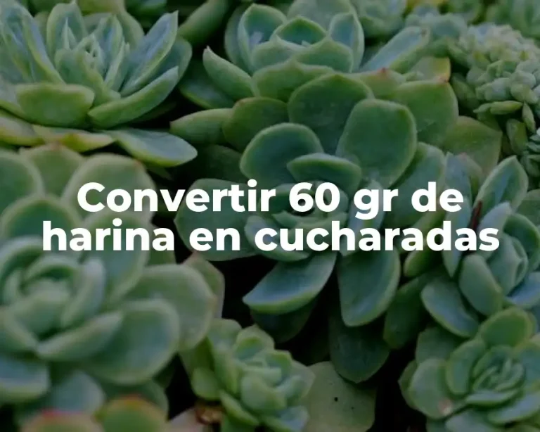 Convertir 60 gr de harina en cucharadas