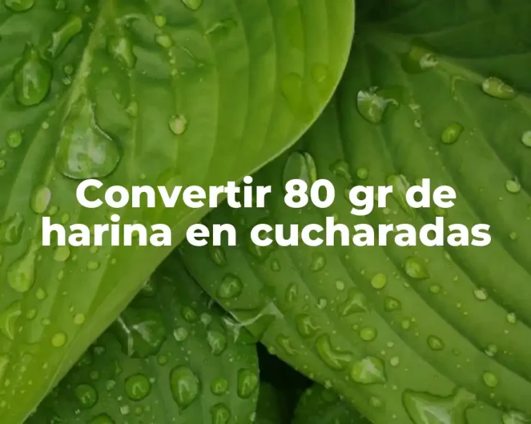 Convertir 80 gr de harina en cucharadas