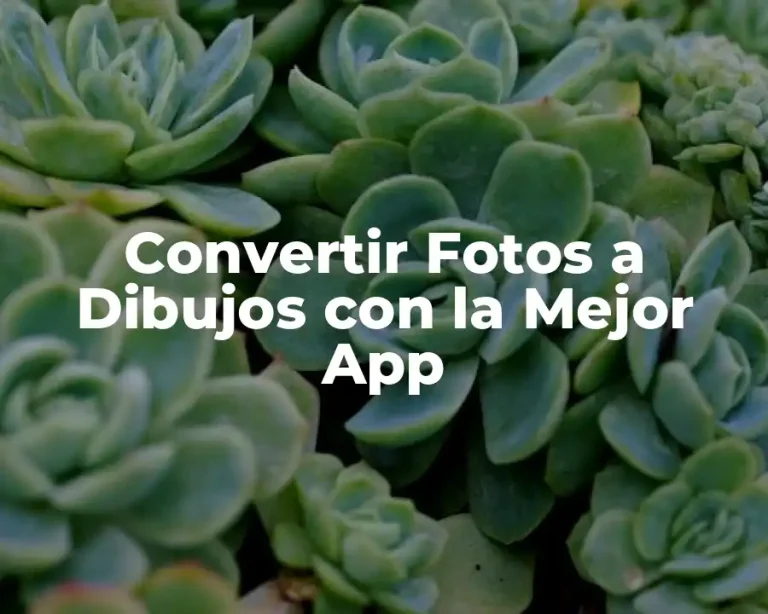 Convertir Fotos a Dibujos con la Mejor App