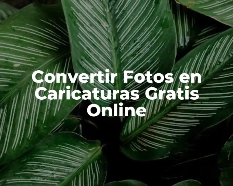 Convertir Fotos en Caricaturas Gratis Online