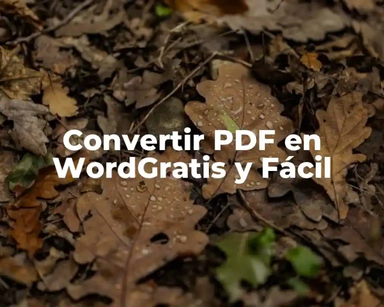 Convertir PDF en WordGratis y Fácil