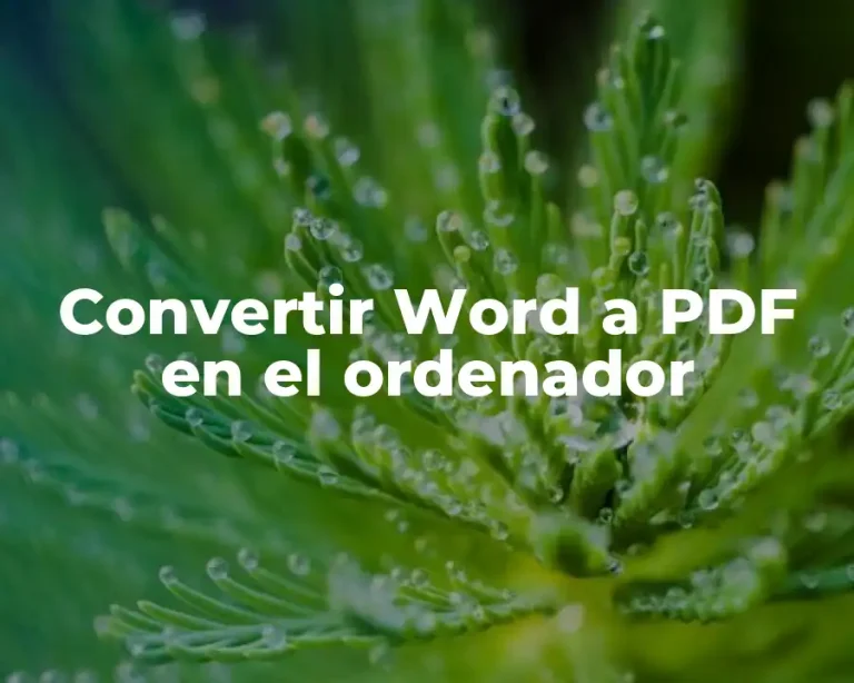 Convertir Word a PDF en el ordenador