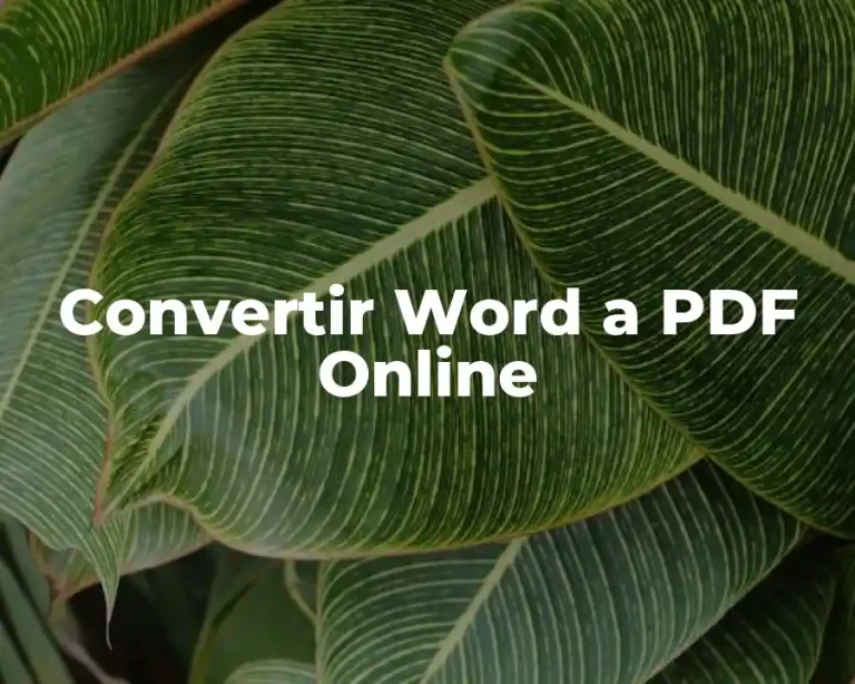 Convertir Word a PDF Online