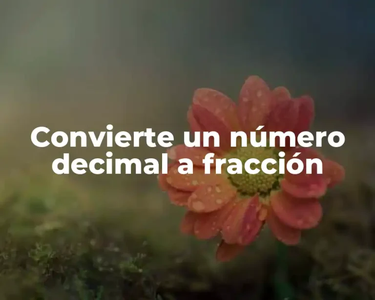 Convierte un número decimal a fracción