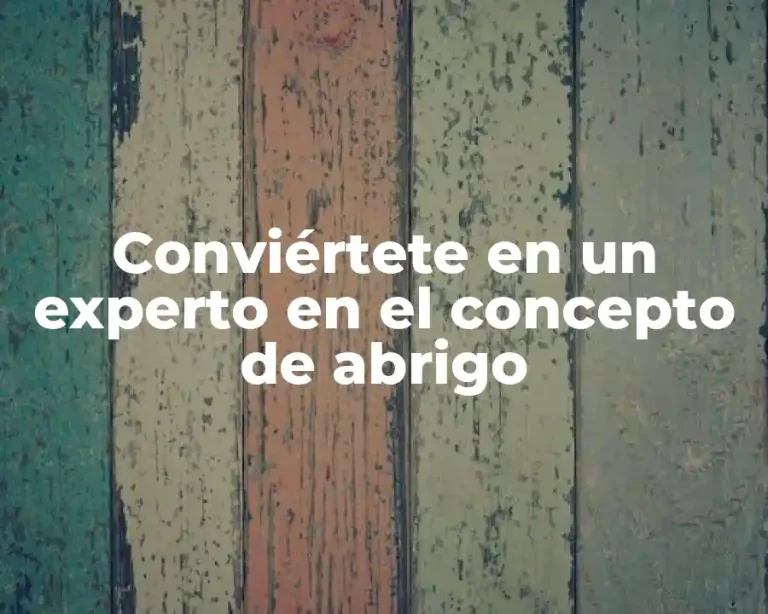 Conviértete en un experto en el concepto de abrigo