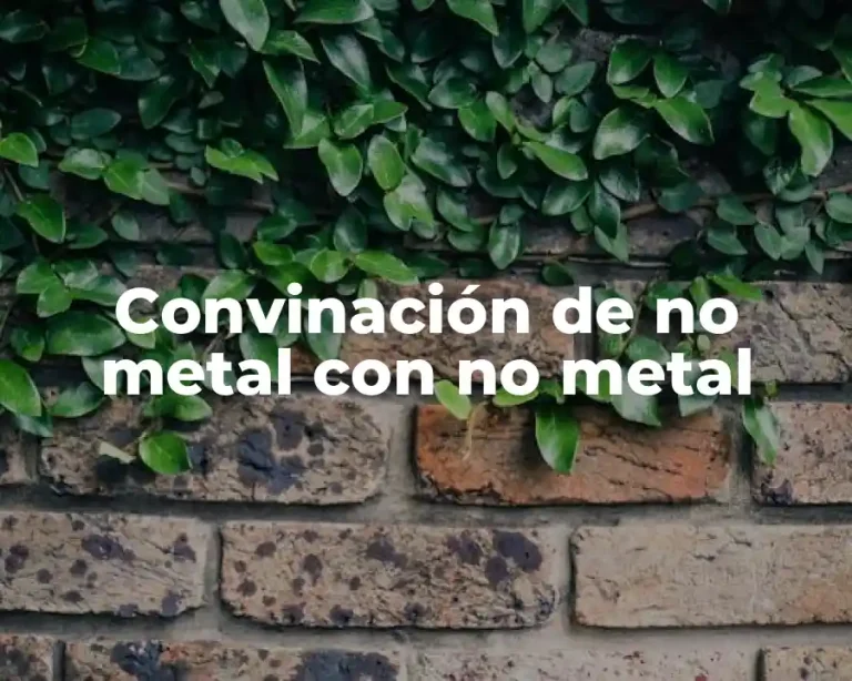 Convinación de no metal con no metal