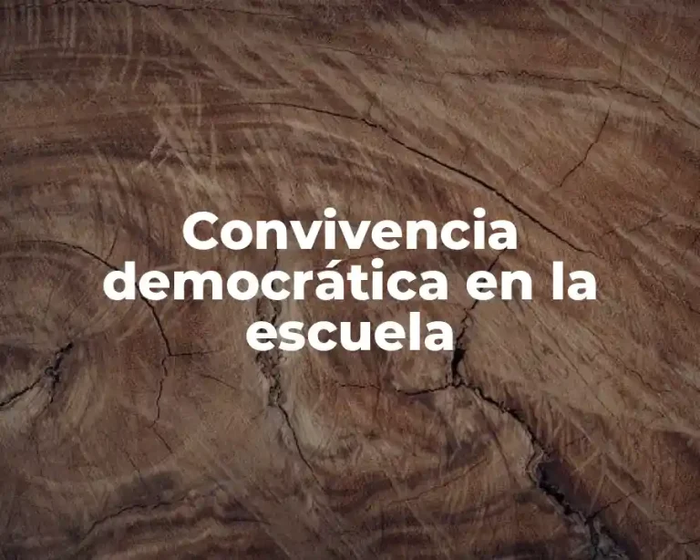 Convivencia democrática en la escuela