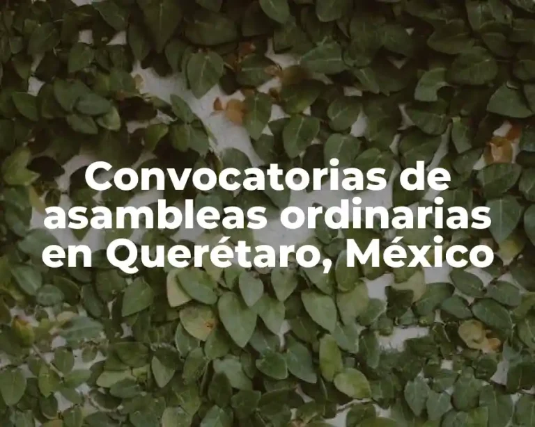 Convocatorias de asambleas ordinarias en Querétaro, México