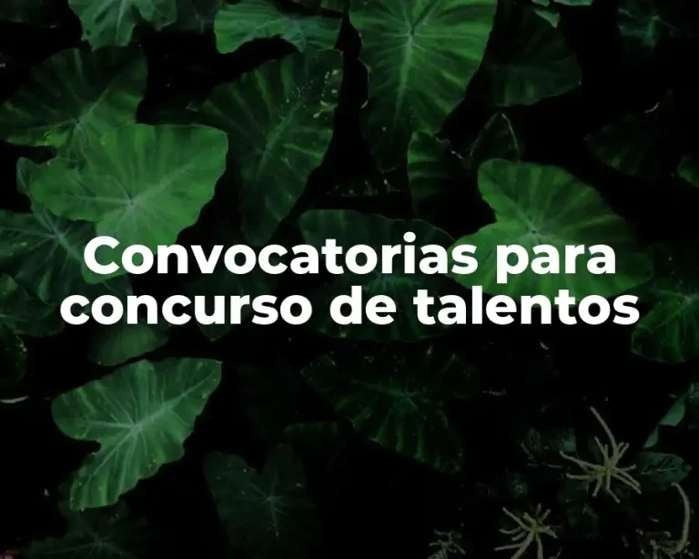Convocatorias para concurso de talentos