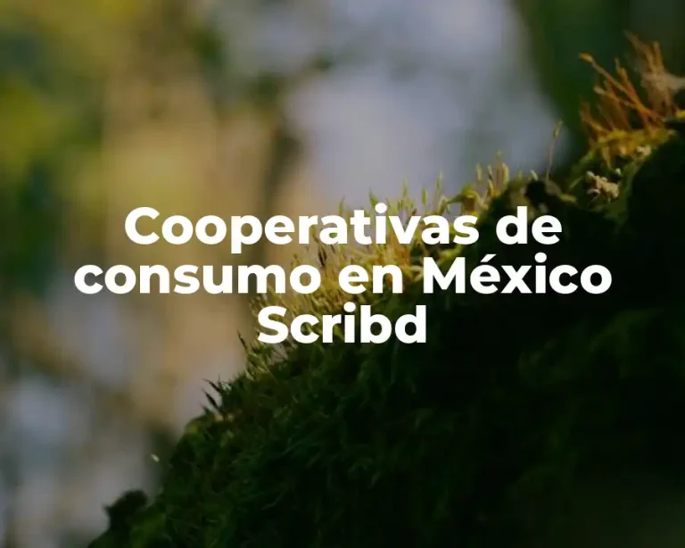 Cooperativas de consumo en México Scribd