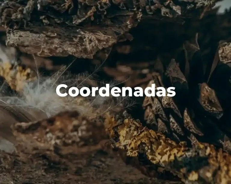 Coordenadas