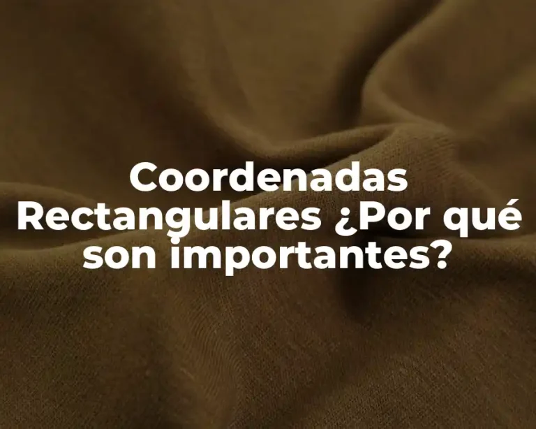 Coordenadas Rectangulares ¿Por qué son importantes?