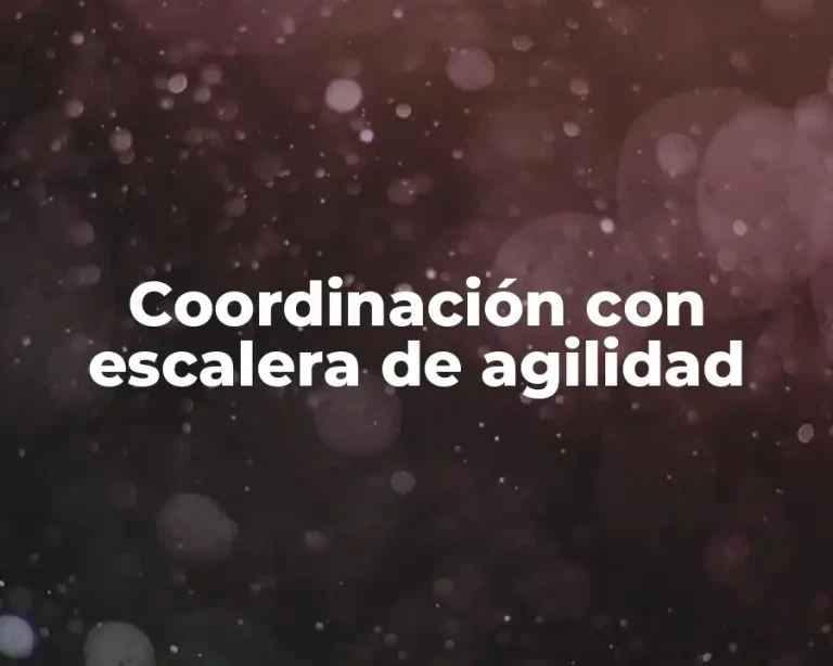 Coordinación con escalera de agilidad