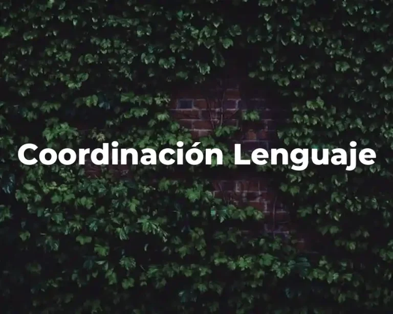Coordinación Lenguaje