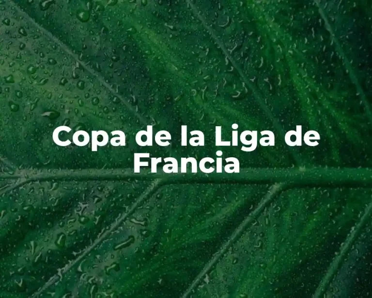 Copa de la Liga de Francia