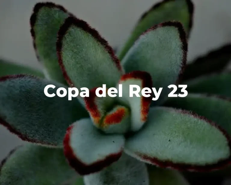 Copa del Rey 23