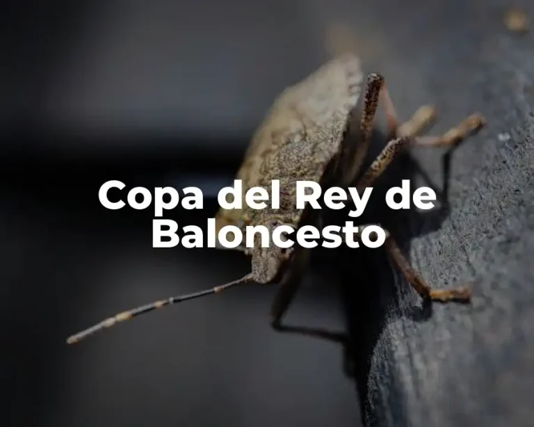 Copa del Rey de Baloncesto