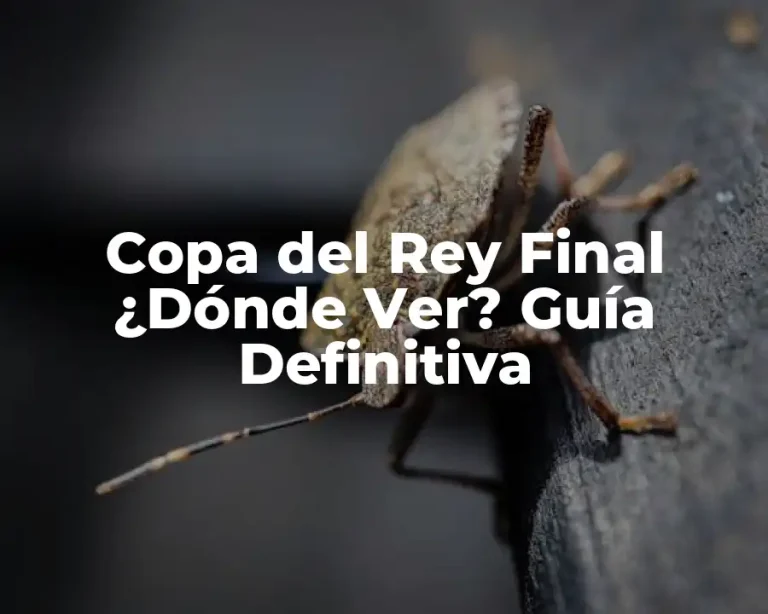 Copa del Rey Final ¿Dónde Ver? Guía Definitiva