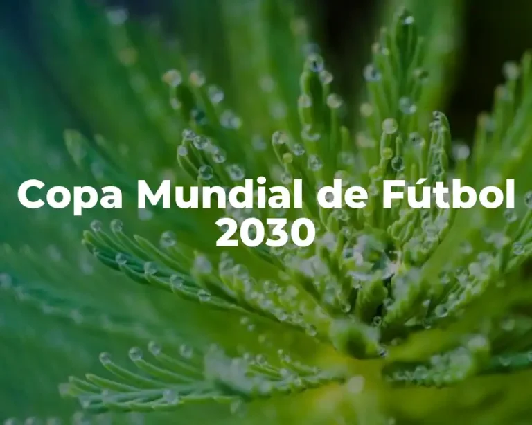 Copa Mundial de Fútbol 2030