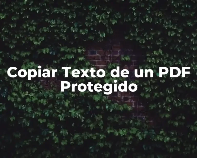 Copiar Texto de un PDF Protegido