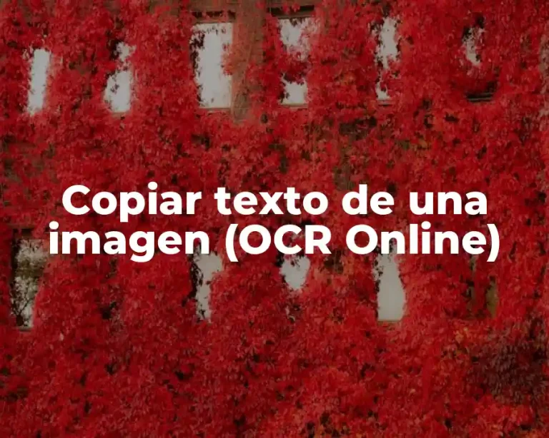 Copiar texto de una imagen (OCR Online)