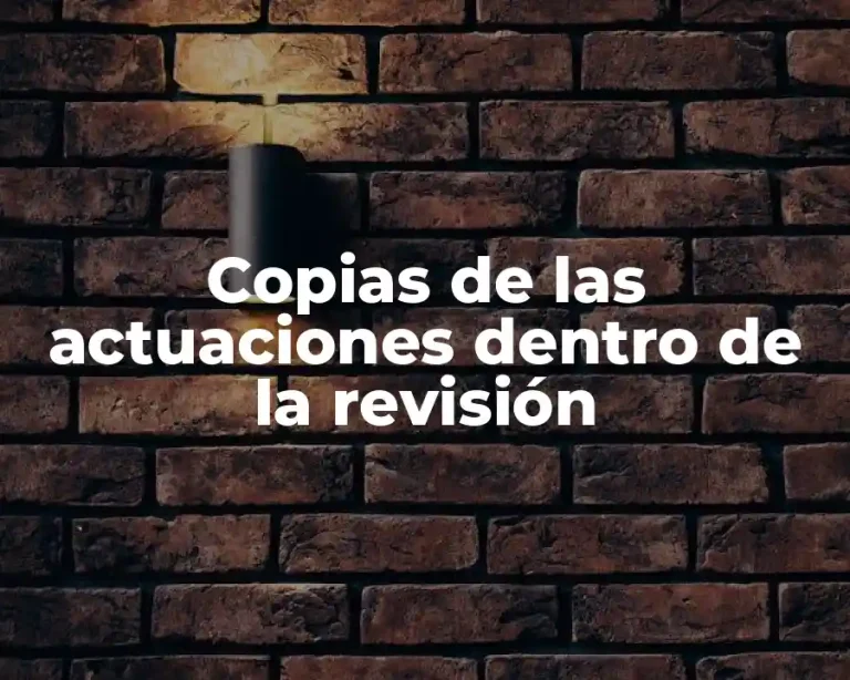 Copias de las actuaciones dentro de la revisión