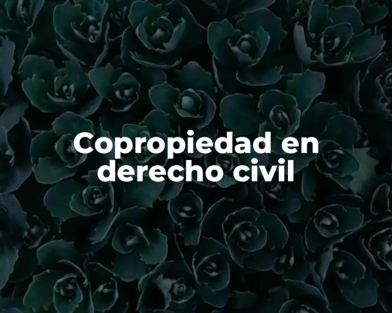 Copropiedad en derecho civil